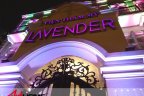 Thi công nội thất Spa Lavender